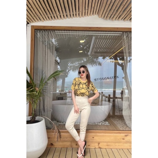 755bbd3208571904952831b0bfef1b13