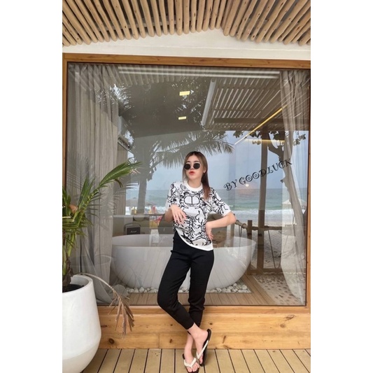 f1d56c5453df4024ceca4e951111535e